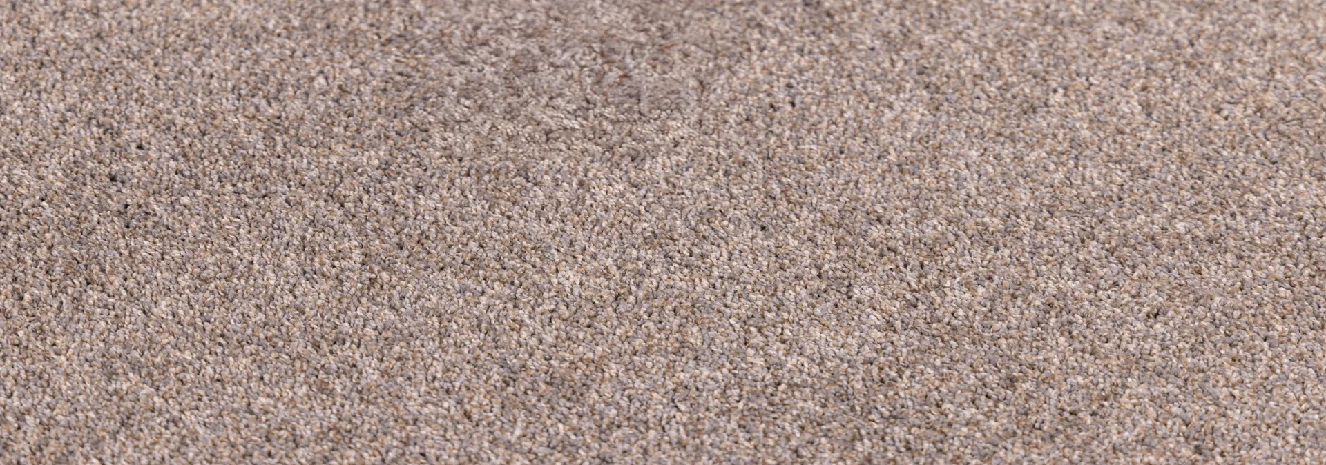 Image of a soiled EF carpet after cleaning