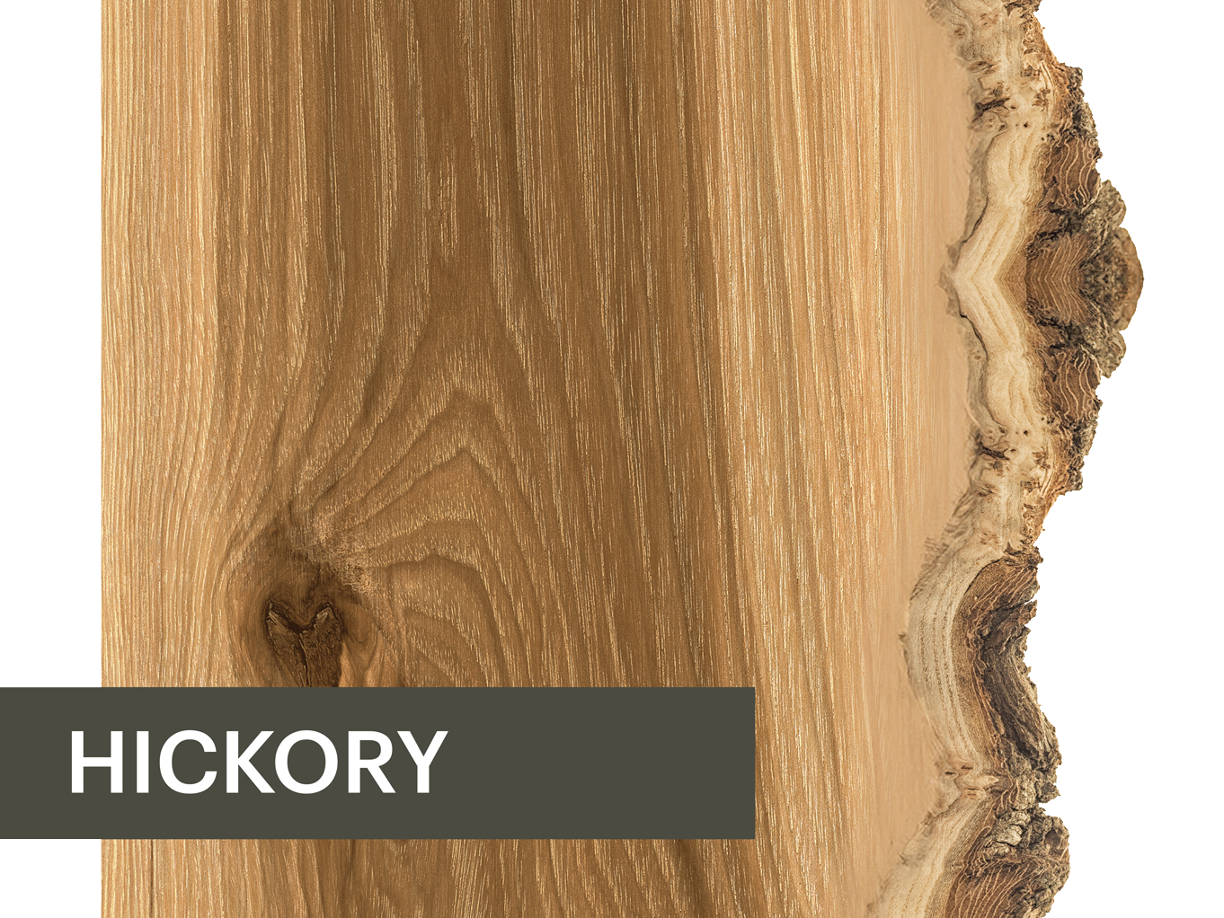 Hickory Wood