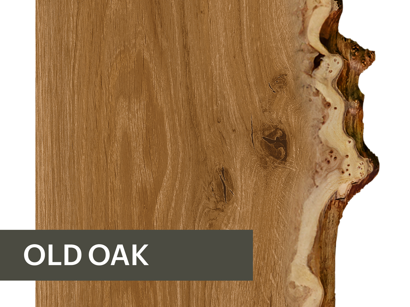 Old Oak wood