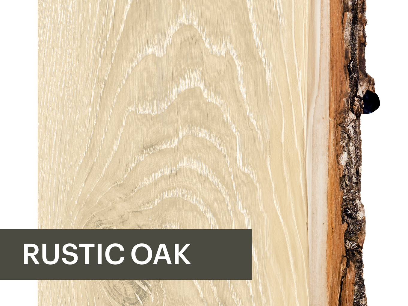 Rustic oak wood